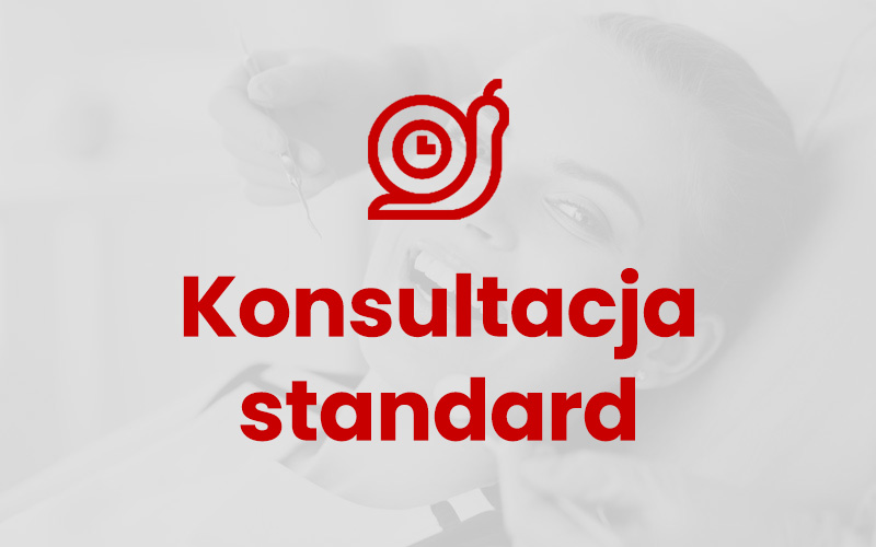 Konsultacja standard